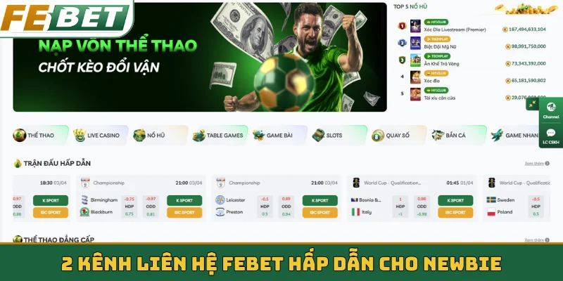 2 kênh liên hệ Febet hấp dẫn cho newbie