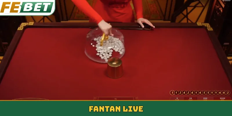 fantan live