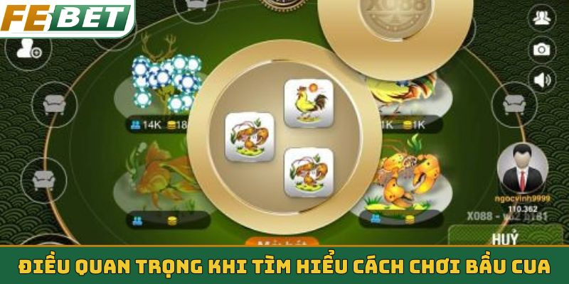 Điều quan trọng khi tìm hiểu cách chơi bầu cua