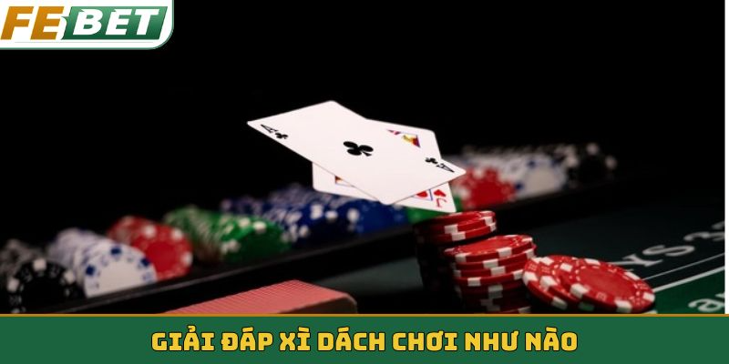 Giải đáp Xì dách chơi như nào