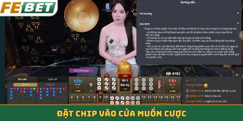 Đặt chip vào cửa muốn cược